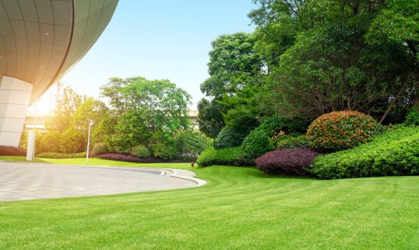 Cost of Commercial Lawn Mowing in Mount Juliet
