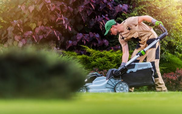 Cost of Lawn Care And Maintenance in Mount Juliet