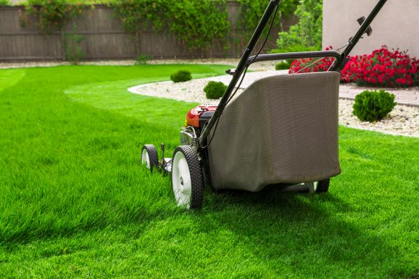 Cost of Lawn Mowing in Mount Juliet