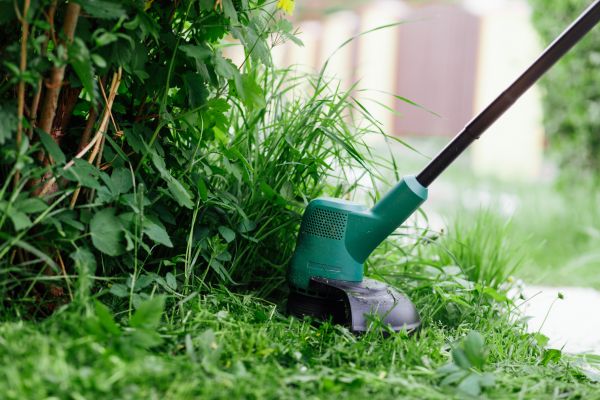Cost of Weed Whacking in Mount Juliet