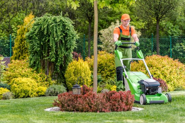 Cost of Yard Service in Mount Juliet