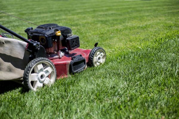 Cost of Routine Lawn Care in Mount Juliet