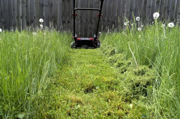 Cost of High Grass Mowing in Mount Juliet