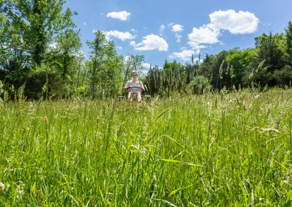 Cost of Long Grass Mowing in Mount Juliet