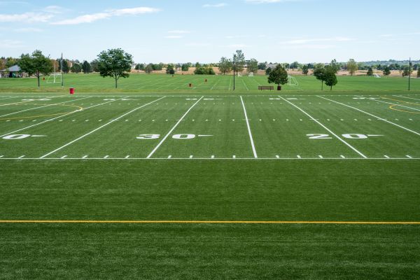 Cost of Groundskeeping Service in Mount Juliet