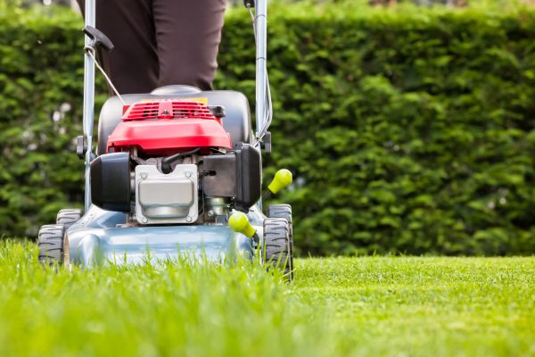 Cost of Grass Trimming Service in Mount Juliet