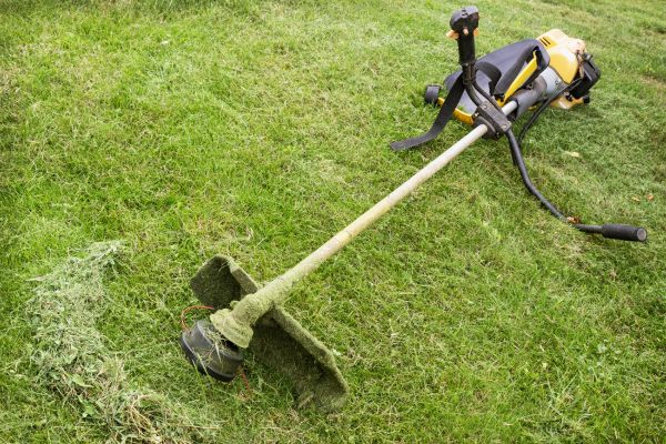 Cost of Hillside Weed Whacking in Mount Juliet