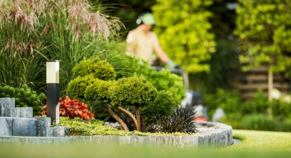 Cost of Residential Yard Maintenance in Mount Juliet
