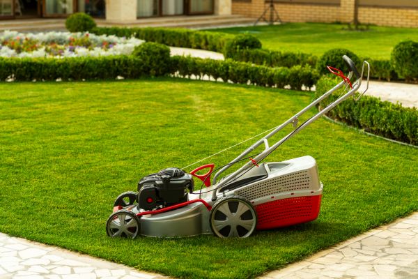 Cost of Business Grass Cutting in Mount Juliet