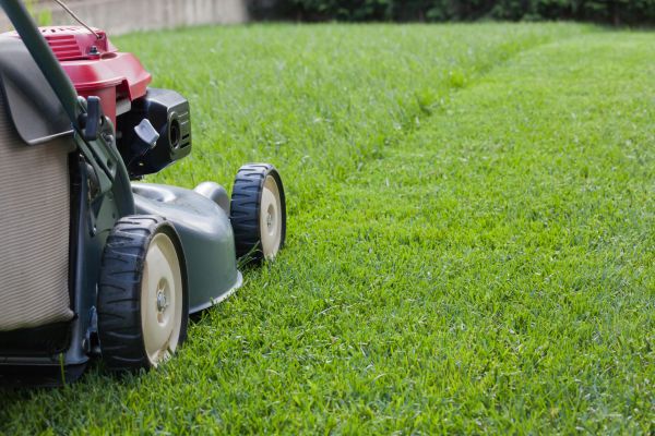 Cost of Spring Lawn Maintenance in Mount Juliet