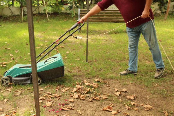 Cost of Leaves Mowing in Mount Juliet