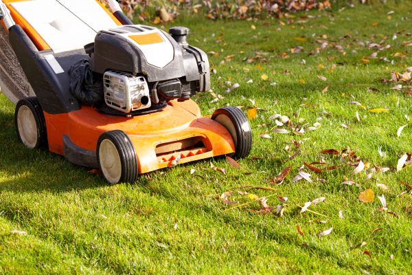 Cost of Fall Mowing in Mount Juliet