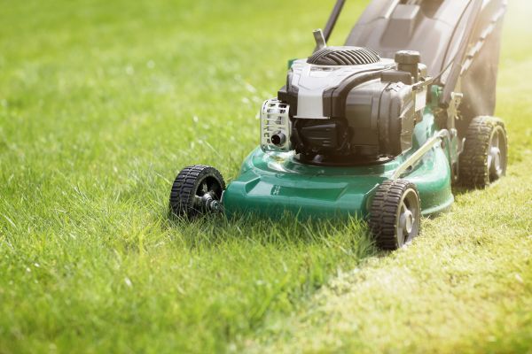 Cost of Spring Grass Trimming in Mount Juliet