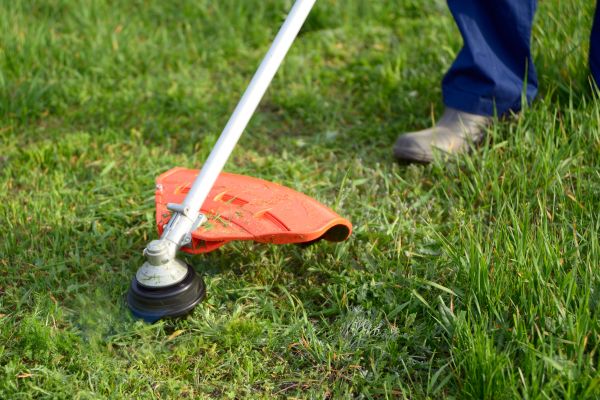 Cost of Lawn Weed Whacking in Mount Juliet