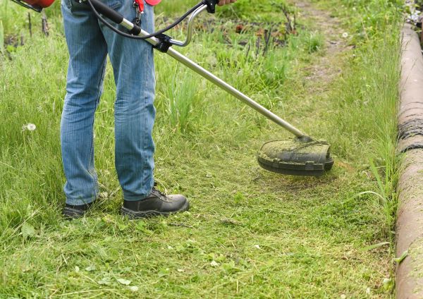 Cost of Tall Grass Trimming in Mount Juliet